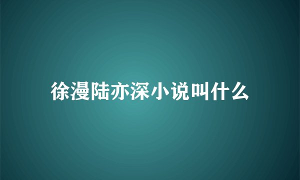 徐漫陆亦深小说叫什么
