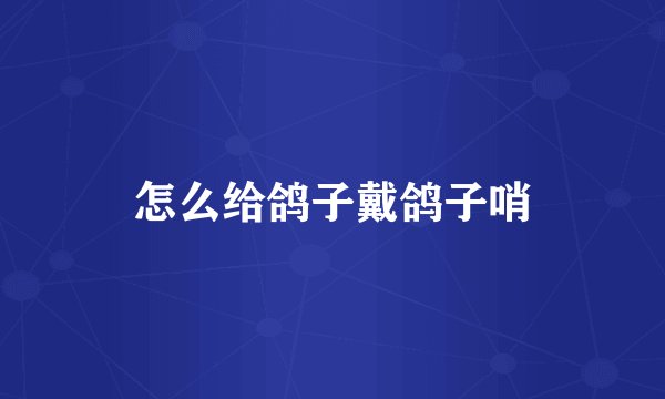 怎么给鸽子戴鸽子哨