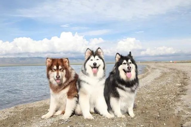 儿子和对象要去看电影,作为妈妈,也好久没有看过电影了,想跟着一起去看合适吗?