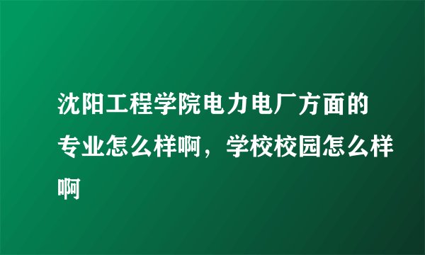 沈阳工程学院电力电厂方面的专业怎么样啊，学校校园怎么样啊