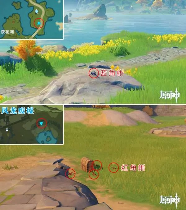原神四方八方之网可捕捉动物在哪