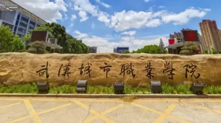 武汉专科公办学校排名及分数线