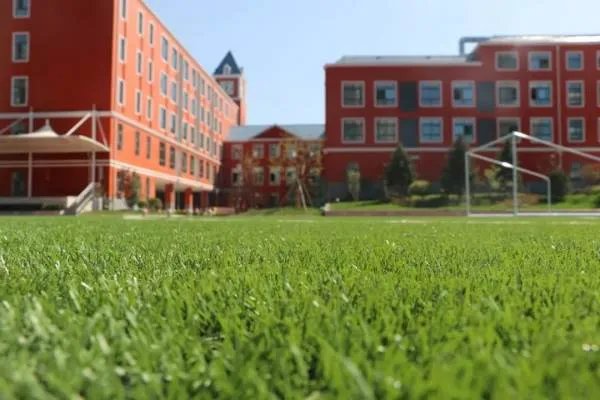 山西一小学强制学生买保险的做法合理吗?