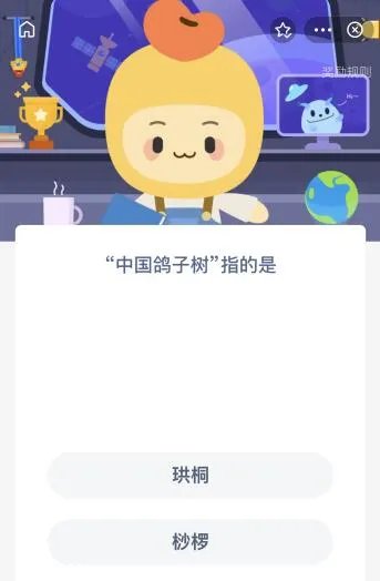 中国鸽子树指的是