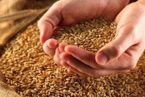 中储粮回应外人禁带手机进粮库，回应都说了什么？