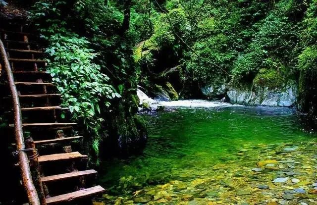 昆明在美留学生公开演讲：美国空气又香又甜！家乡空气差，昆明为自己正名！