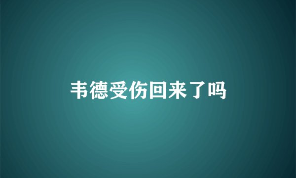 韦德受伤回来了吗