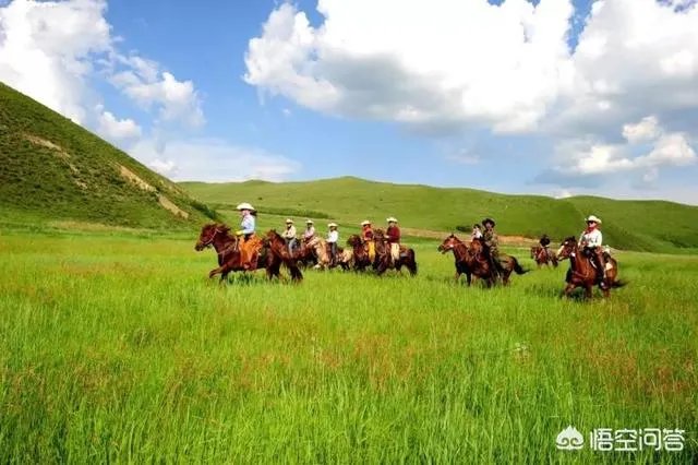端午节想去草原旅游,这个时节草原好玩儿吗?
