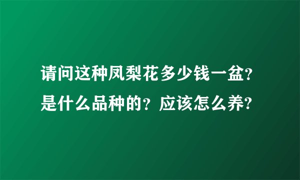 请问这种凤梨花多少钱一盆？是什么品种的？应该怎么养?