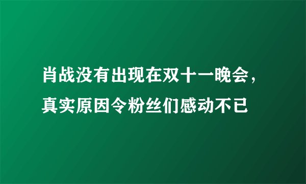 肖战没有出现在双十一晚会，真实原因令粉丝们感动不已