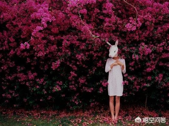 穿特步相亲被拒一事会不会影响特步的销量？