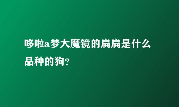 哆啦a梦大魔镜的扁扁是什么品种的狗？