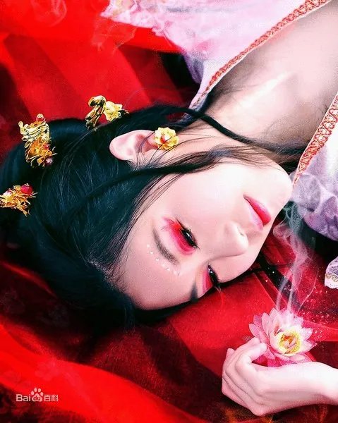 团子坊的成员简介