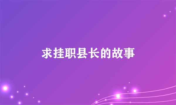 求挂职县长的故事