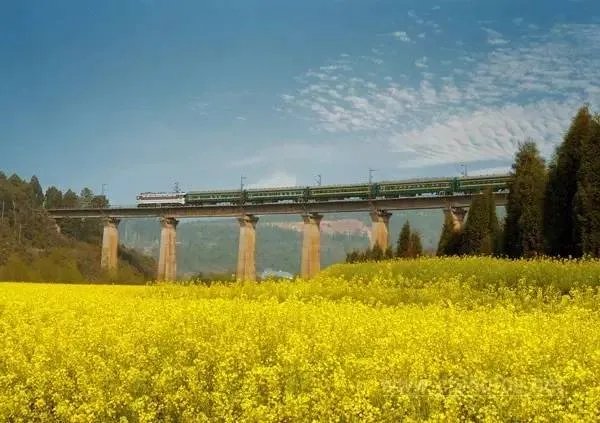 昆明在美留学生公开演讲：美国空气又香又甜！家乡空气差，昆明为自己正名！