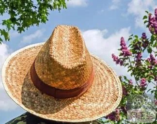 夏季防暑小妙招，快来接收~