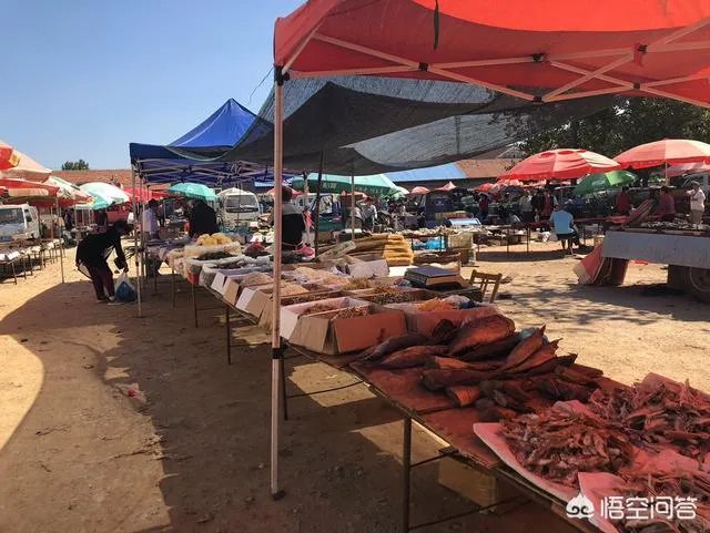 我是一个刚做自媒体的小白,能赚到钱么?