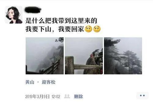 黄山爬到一半想回家进退两难，对此你有何看法？