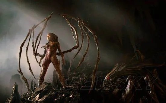 星际争霸2虚空之遗 结局什么意思