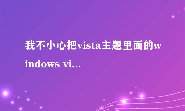 我不小心把vista主题里面的windows vista基本和windows aero给删除了