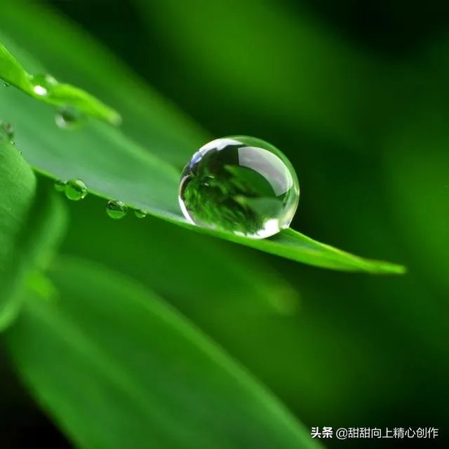 加州大火的原因是什么