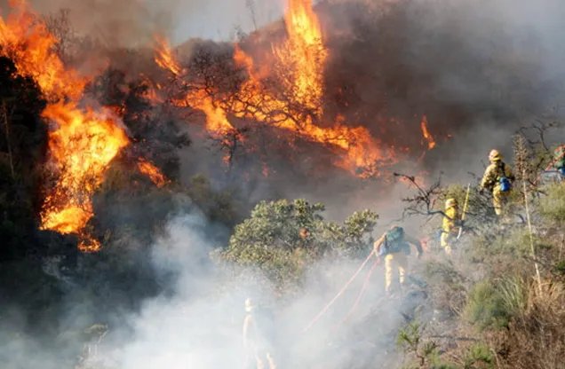 洛杉矶山火爆发造成人员伤亡了吗？