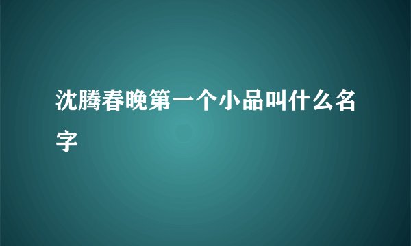 沈腾春晚第一个小品叫什么名字