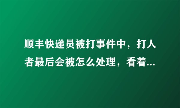 顺丰快递员被打事件中，打人者最后会被怎么处理，看着顺丰说的挺严重的必须追究刑事责任，不就是几巴掌而