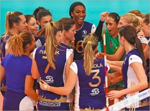 2016里约奥运会女排分组