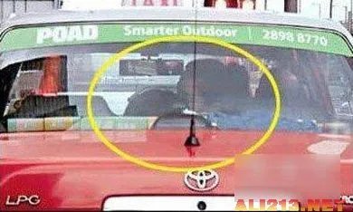 女主持大尺度肉搏 盘点十大明星野外激情战