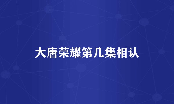 大唐荣耀第几集相认