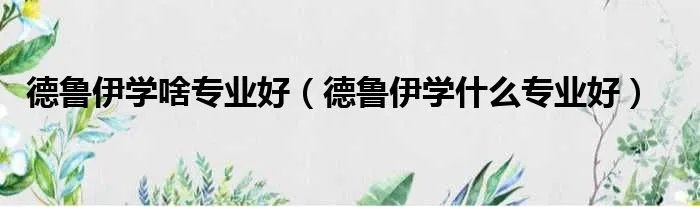 德鲁伊学啥专业好（德鲁伊学什么专业好）