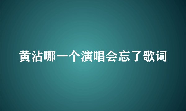 黄沾哪一个演唱会忘了歌词