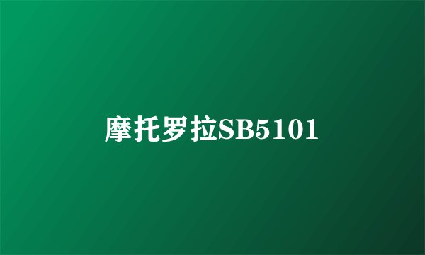 摩托罗拉SB5101
