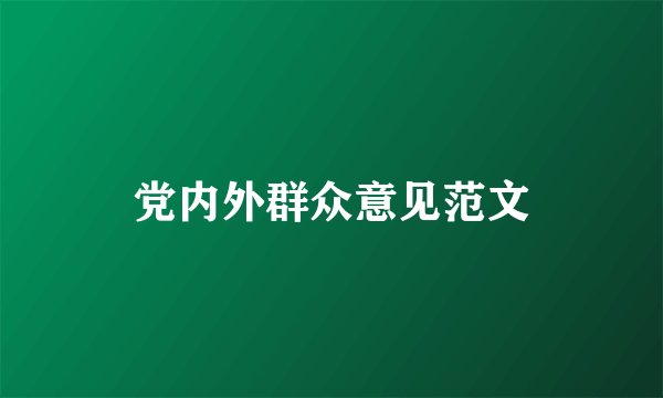 党内外群众意见范文