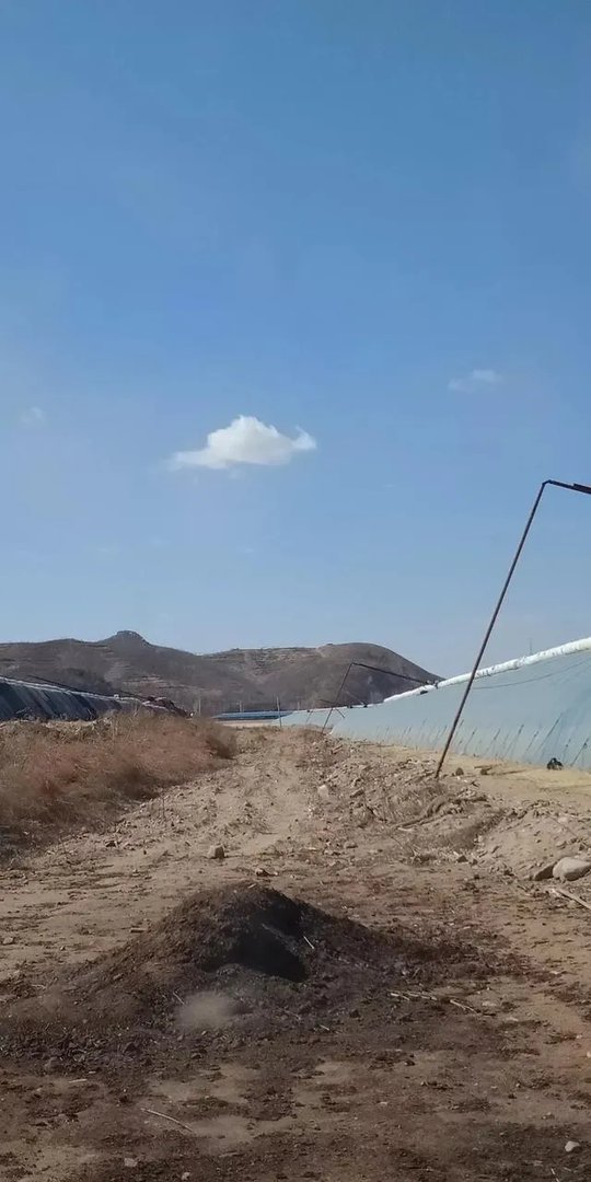 强台风“立奇马”要来了,温室大棚该提前做哪些防御措施,准备什么?