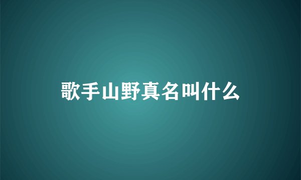 歌手山野真名叫什么