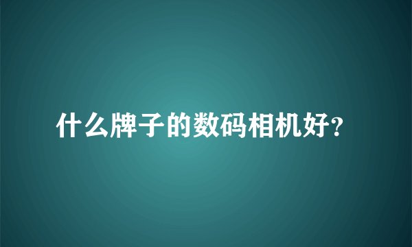 什么牌子的数码相机好？