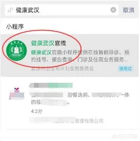 武汉新冠核酸检测结果查询方法？