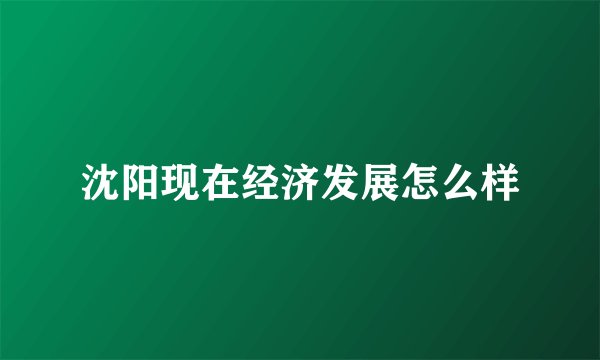 沈阳现在经济发展怎么样