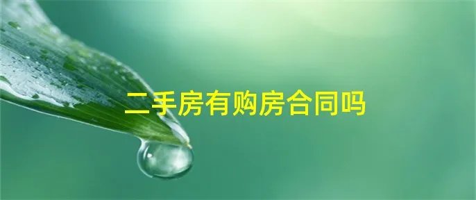 二手房有购房合同吗