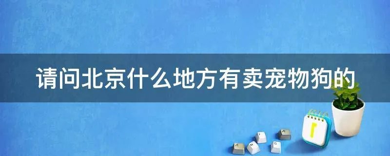 请问北京什么地方有卖宠物狗的