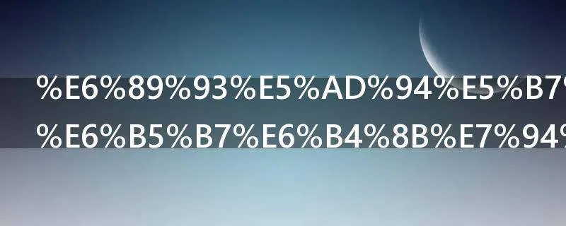 打孔巨匠的海洋生物是什么