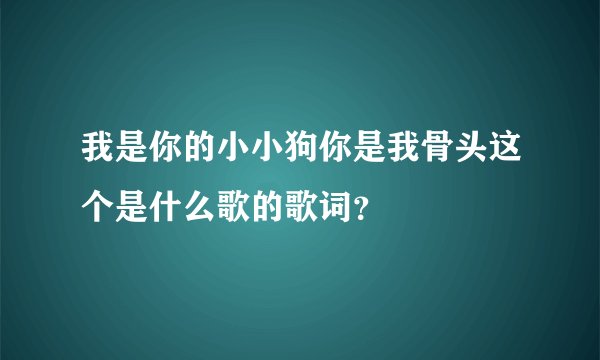 我是你的小小狗你是我骨头这个是什么歌的歌词？