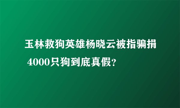玉林救狗英雄杨晓云被指骗捐 4000只狗到底真假？