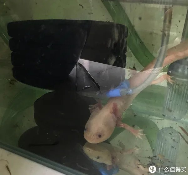 闻香识女人:翻一翻自家女王的小众香水