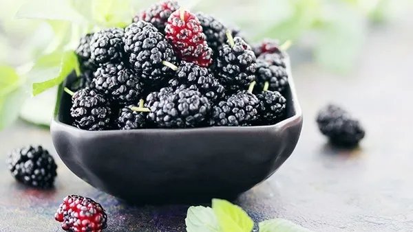 桑葚酒的功效和作用 桑葚酒营养价值有哪些