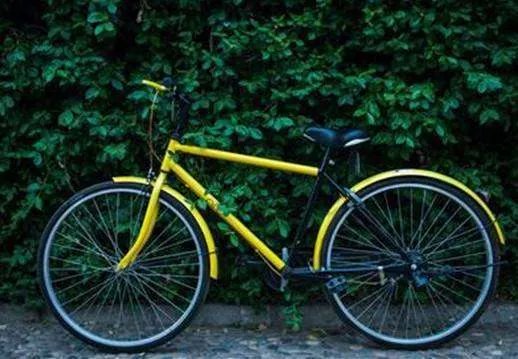 为什么共享单车接连倒闭？