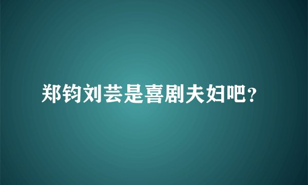 郑钧刘芸是喜剧夫妇吧？