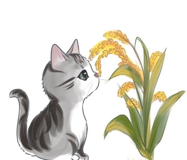 袁花花再也无法陪袁隆平听汇报了，袁花花是袁隆平的谁？